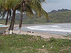 Playa-Garza