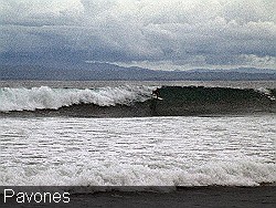 Surfers-point-break