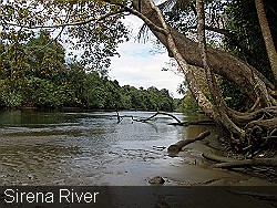 Sirena River