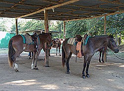 Horseback-Riding-Jaco.jpg