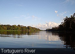 Tortuguero-River