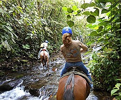 waterfall-ride-thru-stream