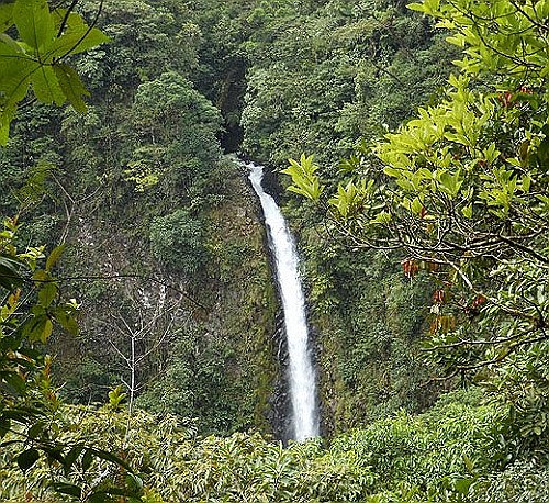 waterfall-view-of