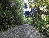 manuel-antonio-park-trail